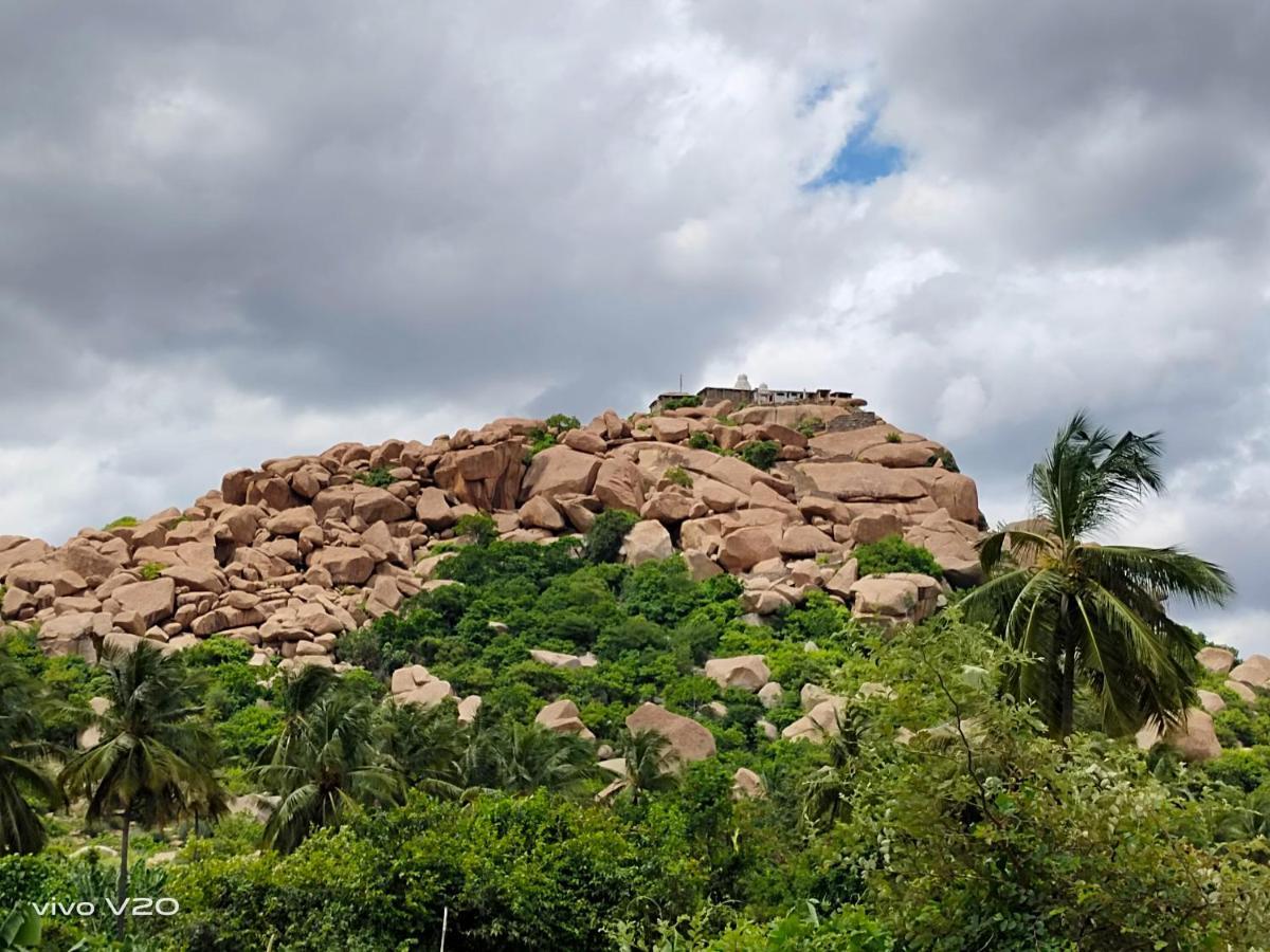 Srinivasa Homestay Хампи Екстериор снимка